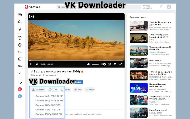 VK Video Downloader for Chrome